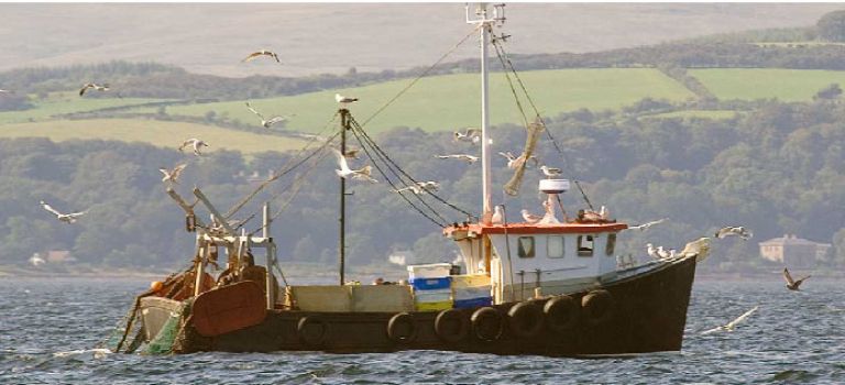 Fishing boat at sea