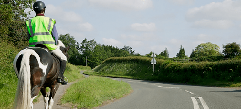 Horse riding on the road